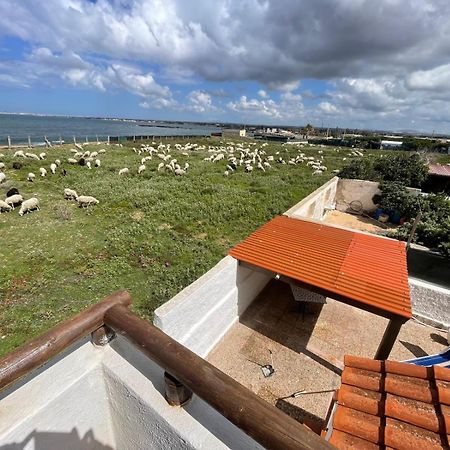 ペトロジーノ Casa Al Mare Con Splendida Vista Sul Mareヴィラ エクステリア 写真