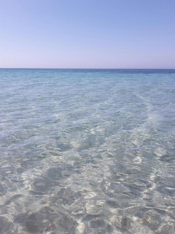 ペトロジーノ Casa Al Mare Con Splendida Vista Sul Mareヴィラ エクステリア 写真