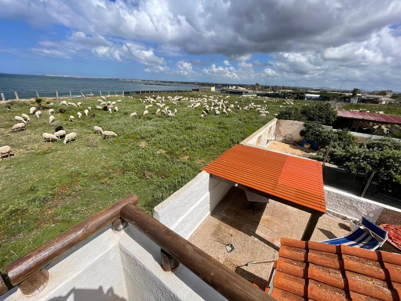 ペトロジーノ Casa Al Mare Con Splendida Vista Sul Mareヴィラ エクステリア 写真